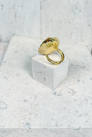 Anillo Nolana