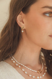 Aros Laurentina