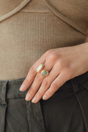Anillo Banksia