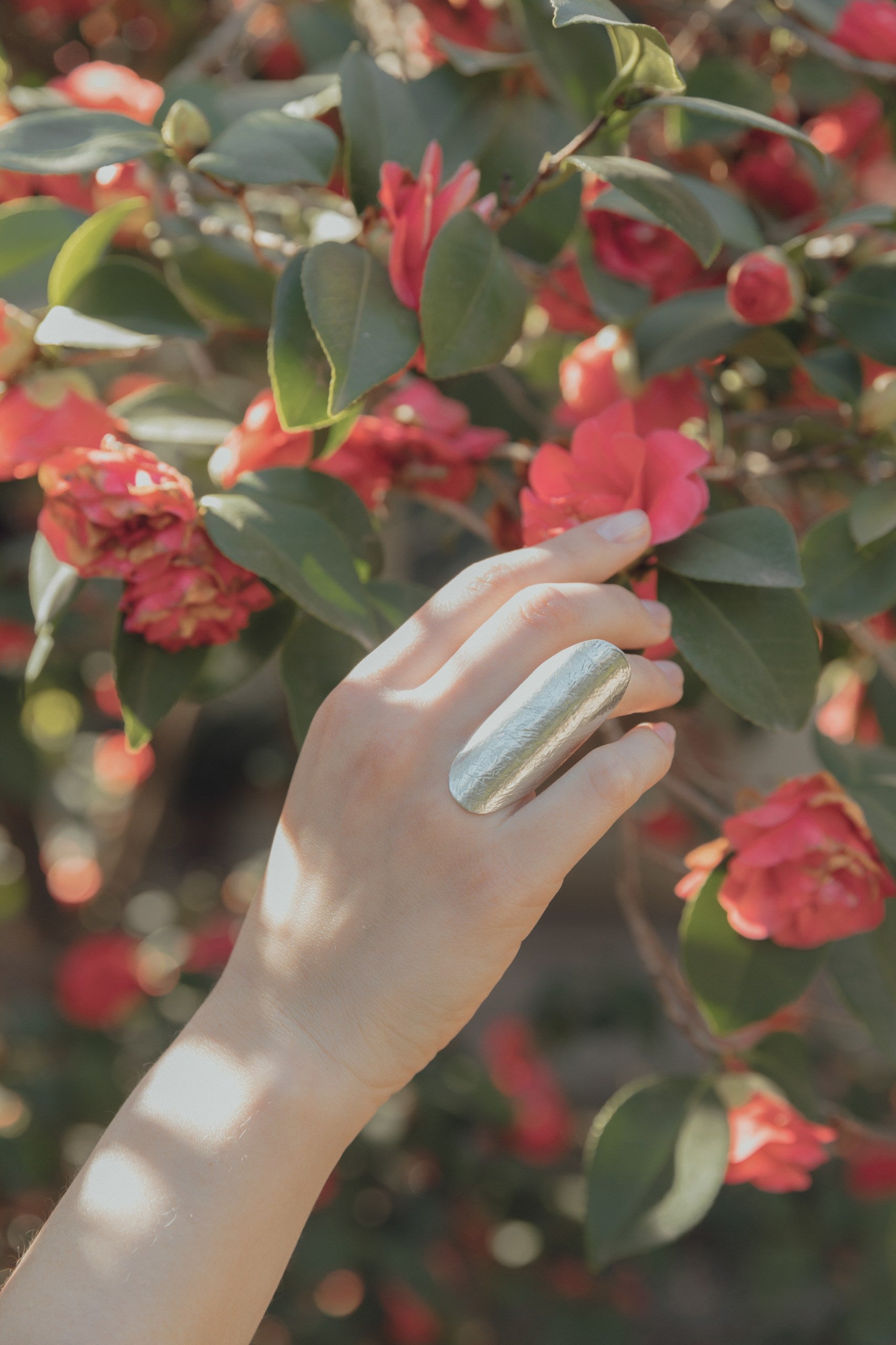 Anillo Santolina plata