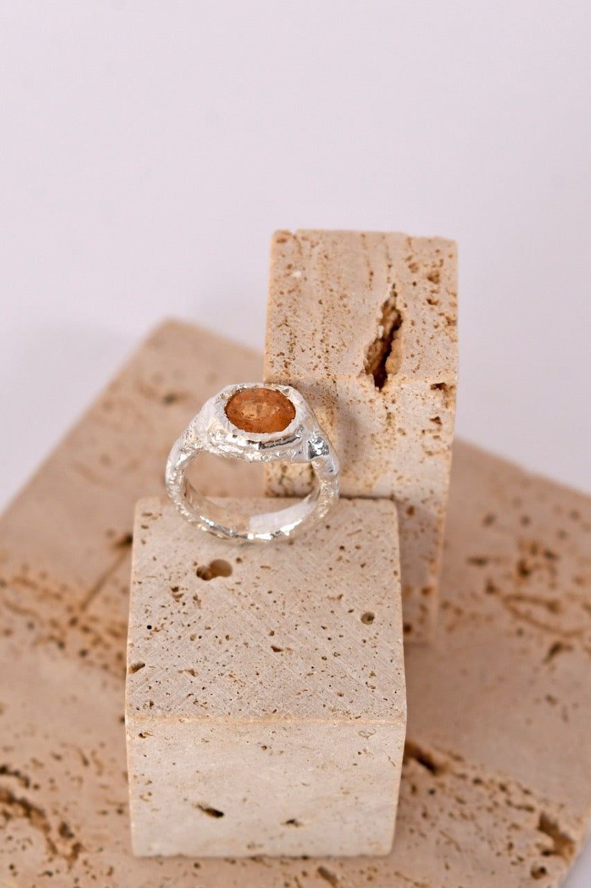 Anillo Silvestre
