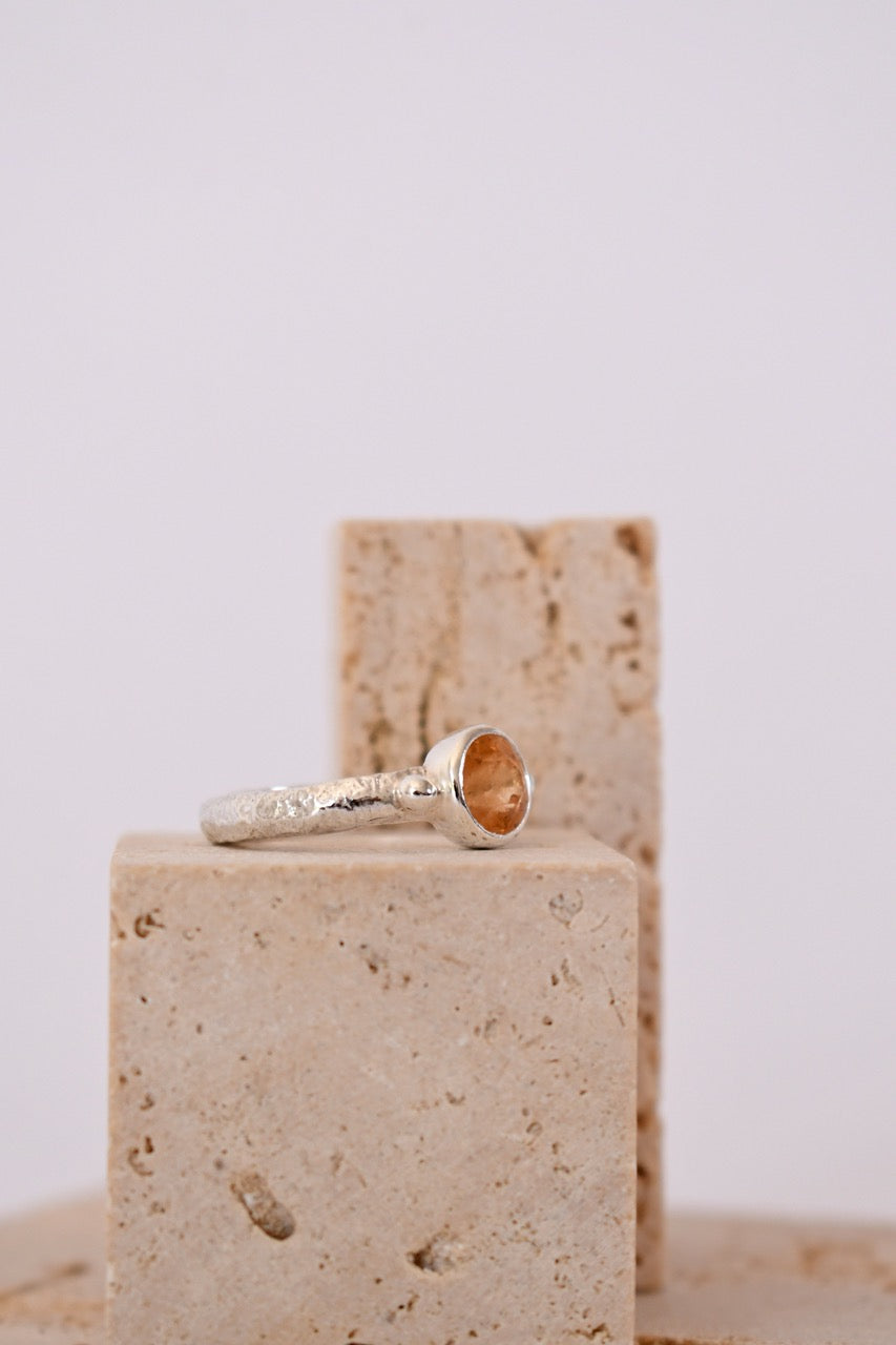Anillo Senescencia